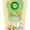 Air Wick Duftkerze Fruhlingstraum Vanilleschote Und Jasmin 105G