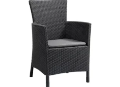 Dining Chair Iowa Graphit Mit Sitzkissen