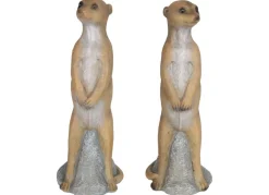 Erdmannchen 2Er-Set