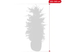 Europaische Eibe Taxus Baccata Heckenpflanze 120-140Cm