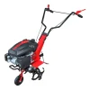 Gude Gartenfrase Gf 384