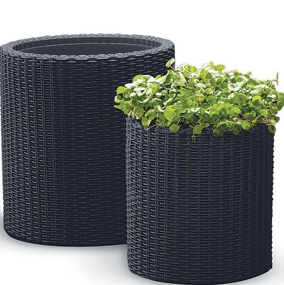 Keter Pflanz-Zylinder M+L 2Er-Set