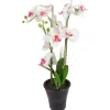 Kunstliche Orchidee Mit 3 Rispen Weis/Pink