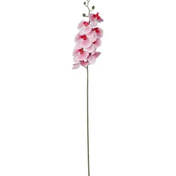 Kunstliche Orchideenrispe Mit 8 Bluten 103Cm
