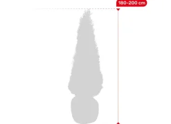 Lebensbaum Thuja Occidentalis Smaragd Heckenpflanze 180-200Cm