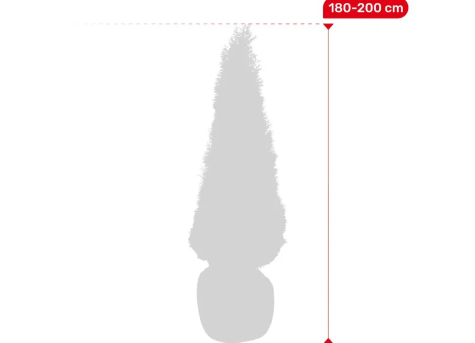Lebensbaum Thuja Occidentalis Smaragd Heckenpflanze 180-200Cm