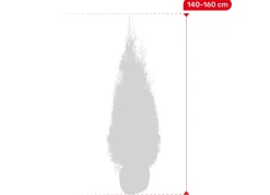 Lebensbaum Thuja Occidentalis Smaragd Heckenpflanze 140-160Cm