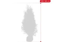 Lebensbaum Thuja Occidentalis Brabant Heckenpflanze 140-160Cm