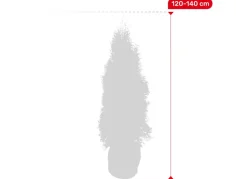 Lebensbaum Thuja Occidentalis Smaragd Heckenpflanze 120-140Cm