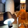 Led-Flaschenlampe Glorious 10,5Cm