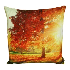 Outdoorkissen Herbstbaum Mit Sonnenstrahlen 45X45Cm