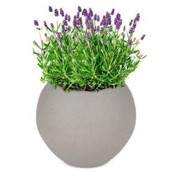 Pflanztopf Kugel 34Cm Sand