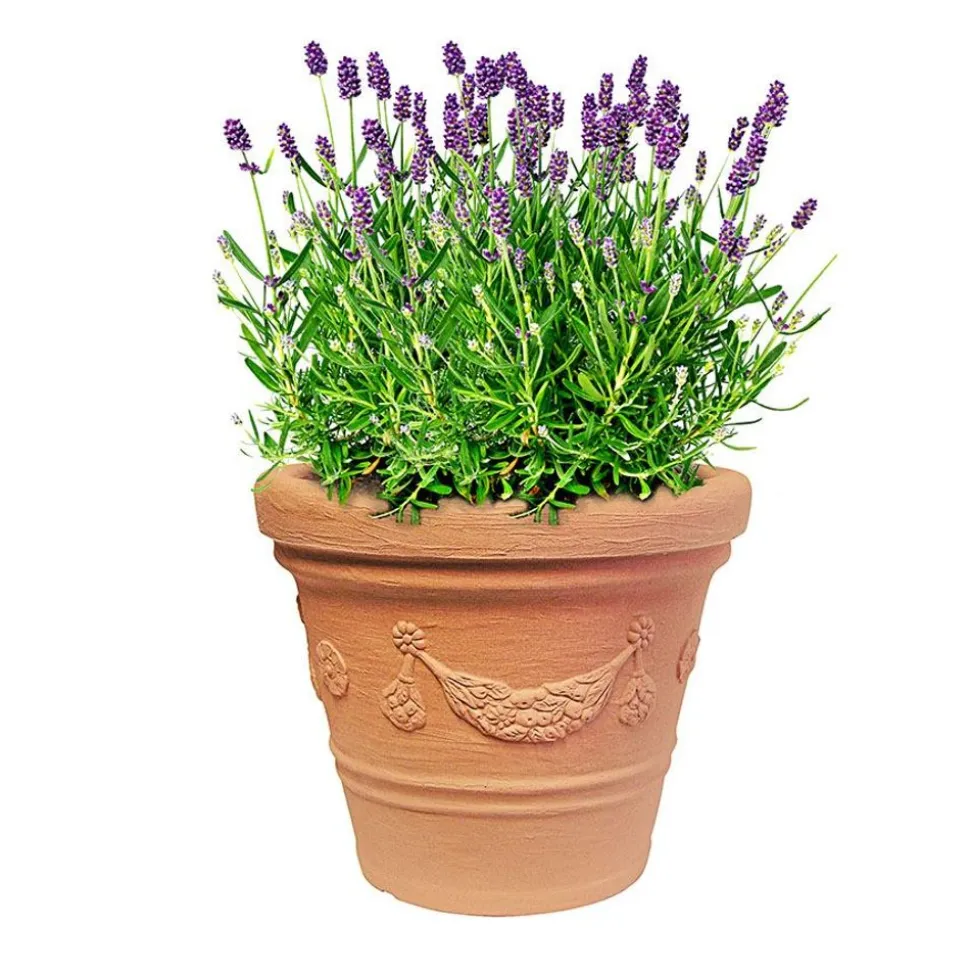 Pflanztopf Siena 30X24Cm Terrakotta