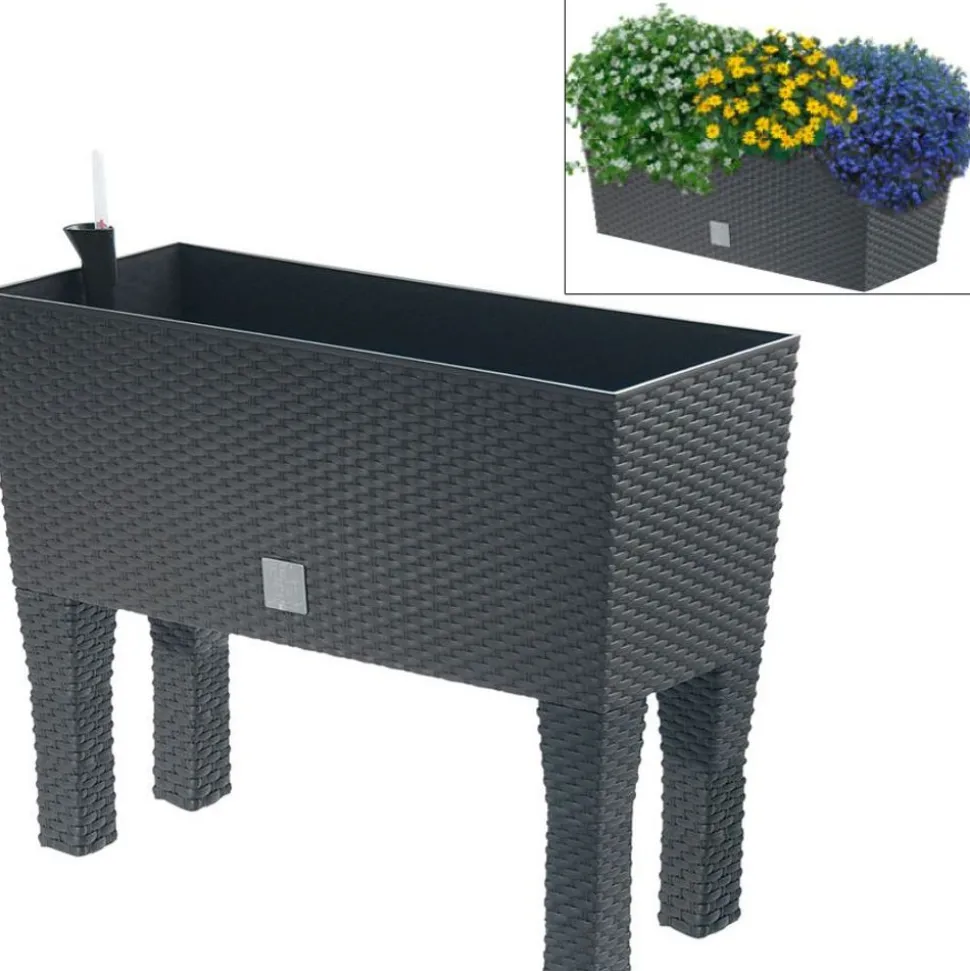 Polyrattan-Blumenbank Mit Bewasserung 60X24,5Cm Anthrazit
