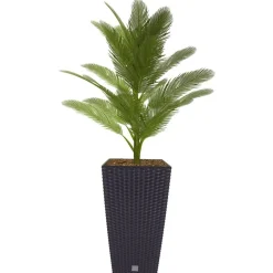 Polyrattan-Pflanztopf Mit Einsatz 26X50,5X26Cm Anthrazit