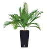 Polyrattan-Pflanztopf Mit Einsatz 22X42X22Cm Anthrazit