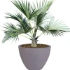 Runder Pflanztopf Stone 60X45Cm Grau