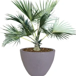 Runder Pflanztopf Stone 60X45Cm Grau