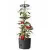 Tomatenpflanztopf Mit Rankhilfe 29Cm Anthrazit