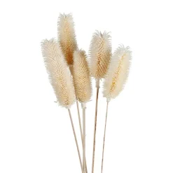 Weise Distel Getrocknet 70Cm 5-Teilig