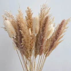Weise Distel Getrocknet 70Cm 5-Teilig