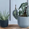 Xxl Blumentopf Milly Bauchig Rillendesign Mit Einsatz 47Cm Steingrau