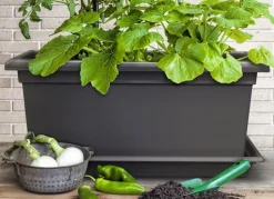 Xxl Pflanzkasten Magnus 80X39X37Cm Anthrazit